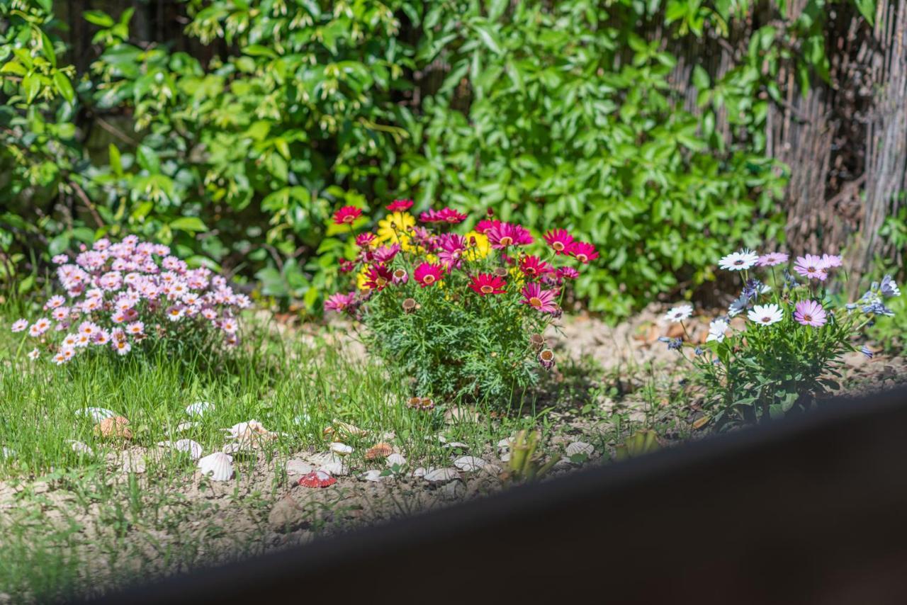 Villa Popi On The Beach Of Agios Gordios Agios Gordios  Exterior photo